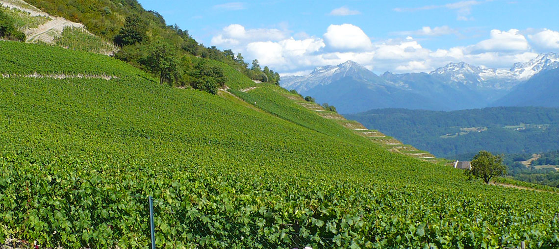 汝拉/萨瓦(Jura/Savoie)