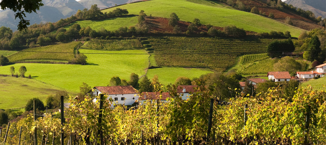 西南产区(South West France)