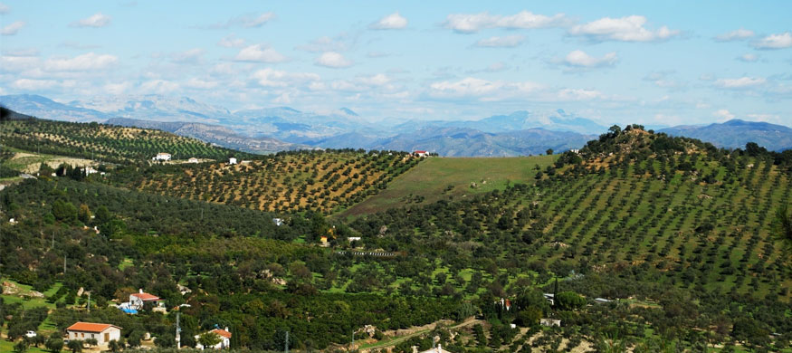 安达路西亚(Andalucia)