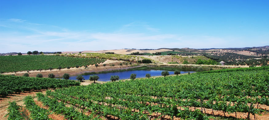 阿连特茹(Alentejo)