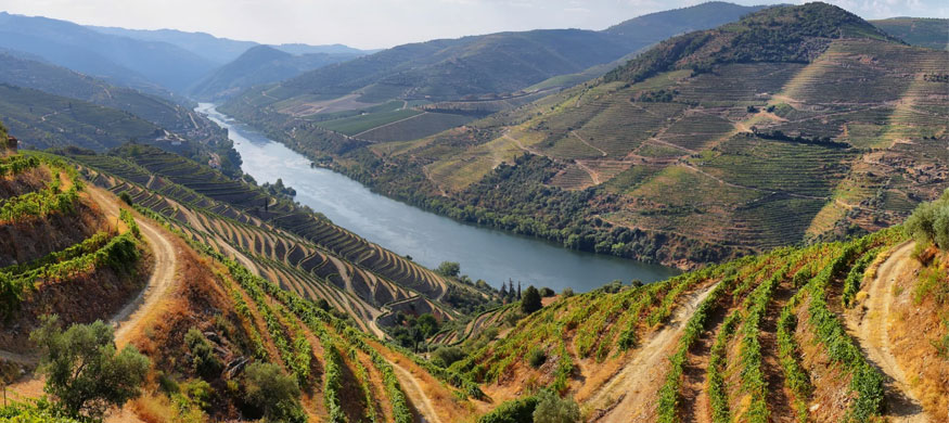 杜罗河(Douro)