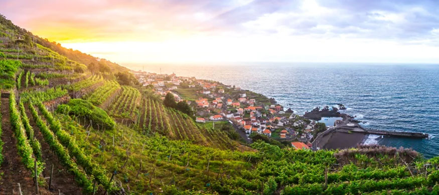 马德拉(Madeira)